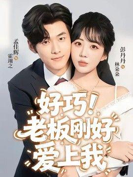 老板刚好爱上我