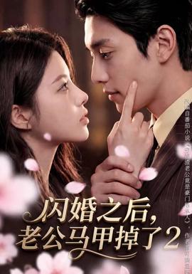 闪婚之后，老公马甲掉了 2