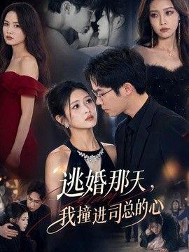 逃婚那天，我撞进司总的心